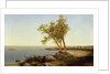 Shore Line in Summer by John Frederick Kensett