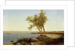 Shore Line in Summer by John Frederick Kensett