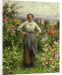 Life is Sweet by Daniel Ridgway Knight