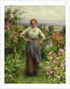 Life is Sweet by Daniel Ridgway Knight