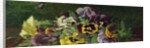 Pansies by Claude Raguet Hirst