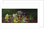 Pansies by Claude Raguet Hirst