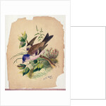 Bluebird on a Branch, 1871 by Claude Raguet Hirst