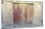 Colourful wall paintings from Herod's eastern palace by Roman