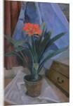 Clivia, 1917 by Roger Eliot Fry