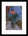 Clivia, 1917 by Roger Eliot Fry