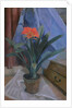 Clivia, 1917 by Roger Eliot Fry