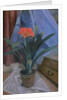 Clivia, 1917 by Roger Eliot Fry