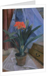Clivia, 1917 by Roger Eliot Fry