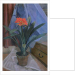 Clivia, 1917 by Roger Eliot Fry