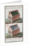 Illustration of a chest of drawers for transporting plants by Gaspard Duche de Vancy