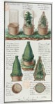 Illustration of a woven basket for transporting plants by Gaspard Duche de Vancy