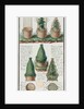 Illustration of a woven basket for transporting plants by Gaspard Duche de Vancy