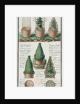 Illustration of a woven basket for transporting plants by Gaspard Duche de Vancy