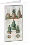 Illustration of a woven basket for transporting plants by Gaspard Duche de Vancy