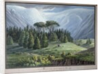 View of the Cedar Forests of Lebanon seen from the Tripoli Road, c.1800 by Louis Francois (after) Cassas