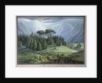 View of the Cedar Forests of Lebanon seen from the Tripoli Road, c.1800 by Louis Francois (after) Cassas