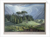 View of the Cedar Forests of Lebanon seen from the Tripoli Road, c.1800 by Louis Francois (after) Cassas