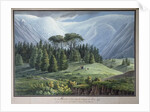 View of the Cedar Forests of Lebanon seen from the Tripoli Road, c.1800 by Louis Francois (after) Cassas