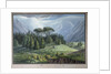 View of the Cedar Forests of Lebanon seen from the Tripoli Road, c.1800 by Louis Francois (after) Cassas