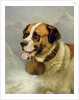 A Portrait of a St. Bernard in an Alpine Landscape by James E. Bourhill