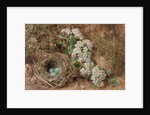 May Blossom and a Hedge Sparrow's Nest, 1845 by William Henry Hunt
