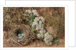 May Blossom and a Hedge Sparrow's Nest, 1845 by William Henry Hunt