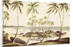 Kosgoda Beach, Ceylon, c.1835 by English School