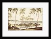 Kosgoda Beach, Ceylon, c.1835 by English School