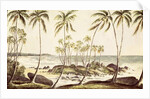 Kosgoda Beach, Ceylon, c.1835 by English School