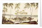 Kosgoda Beach, Ceylon, c.1835 by English School
