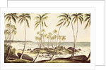Kosgoda Beach, Ceylon, c.1835 by English School