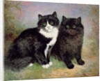 A Pair of Pussy Cats by Lilian Cheviot