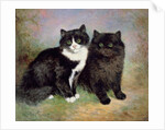 A Pair of Pussy Cats by Lilian Cheviot