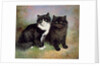 A Pair of Pussy Cats by Lilian Cheviot