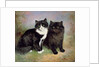 A Pair of Pussy Cats by Lilian Cheviot