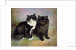 A Pair of Pussy Cats by Lilian Cheviot