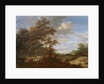 A Wooded Landscape with Cattle by Jacob Salomonsz. Ruysdael
