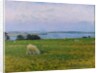 Sheep Grazing, Osterby, Skagen by Viggo Johansen