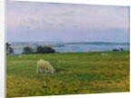 Sheep Grazing, Osterby, Skagen by Viggo Johansen
