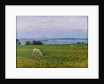 Sheep Grazing, Osterby, Skagen by Viggo Johansen