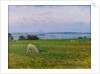 Sheep Grazing, Osterby, Skagen by Viggo Johansen