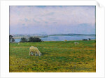Sheep Grazing, Osterby, Skagen by Viggo Johansen