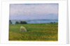 Sheep Grazing, Osterby, Skagen by Viggo Johansen