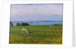 Sheep Grazing, Osterby, Skagen by Viggo Johansen
