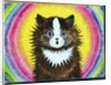 Cat in a Rainbow by Louis Wain