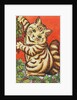 Christmas Cat by Louis Wain