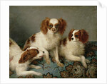 Three Cavalier King Charles Spaniels on a Rug by English School