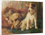 Left in Charge - A Fox Terrier with Game by Philip Eustace Stretton