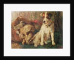 Left in Charge - A Fox Terrier with Game by Philip Eustace Stretton